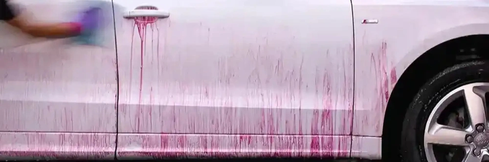 Kėbulo kruopštus valymas (Detailing) 